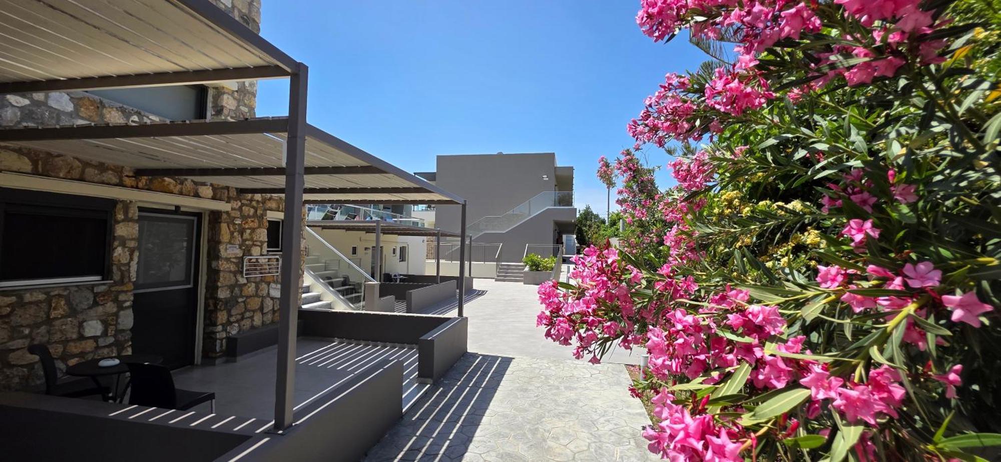 Cosmopolitan Hotel Dış mekan fotoğraf
